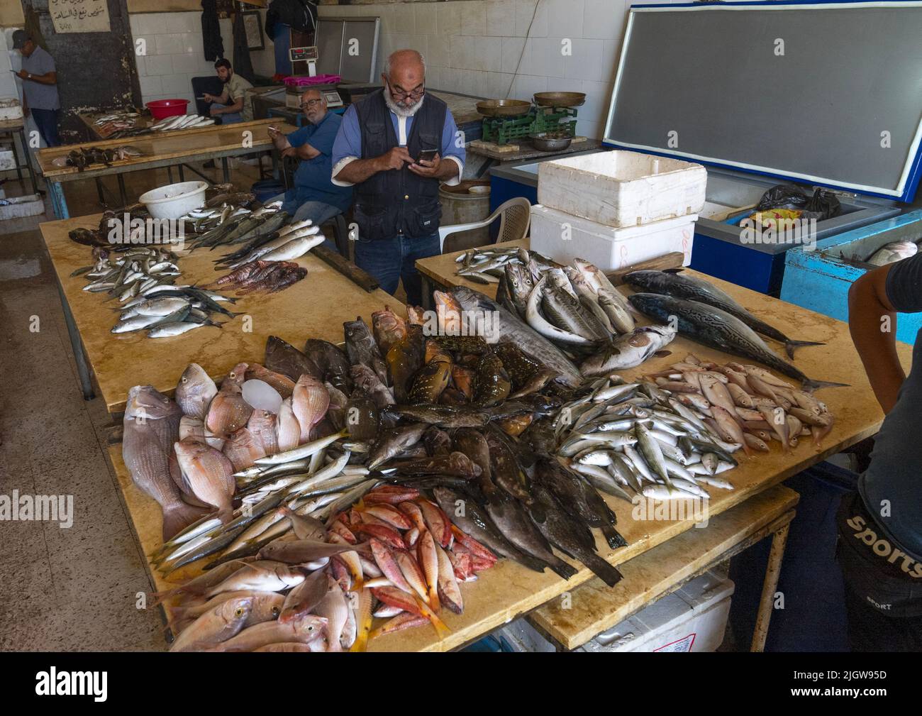 Pesci nel mercato locale del pesce, Governatorato del Nord, Tripoli, Libano Foto Stock