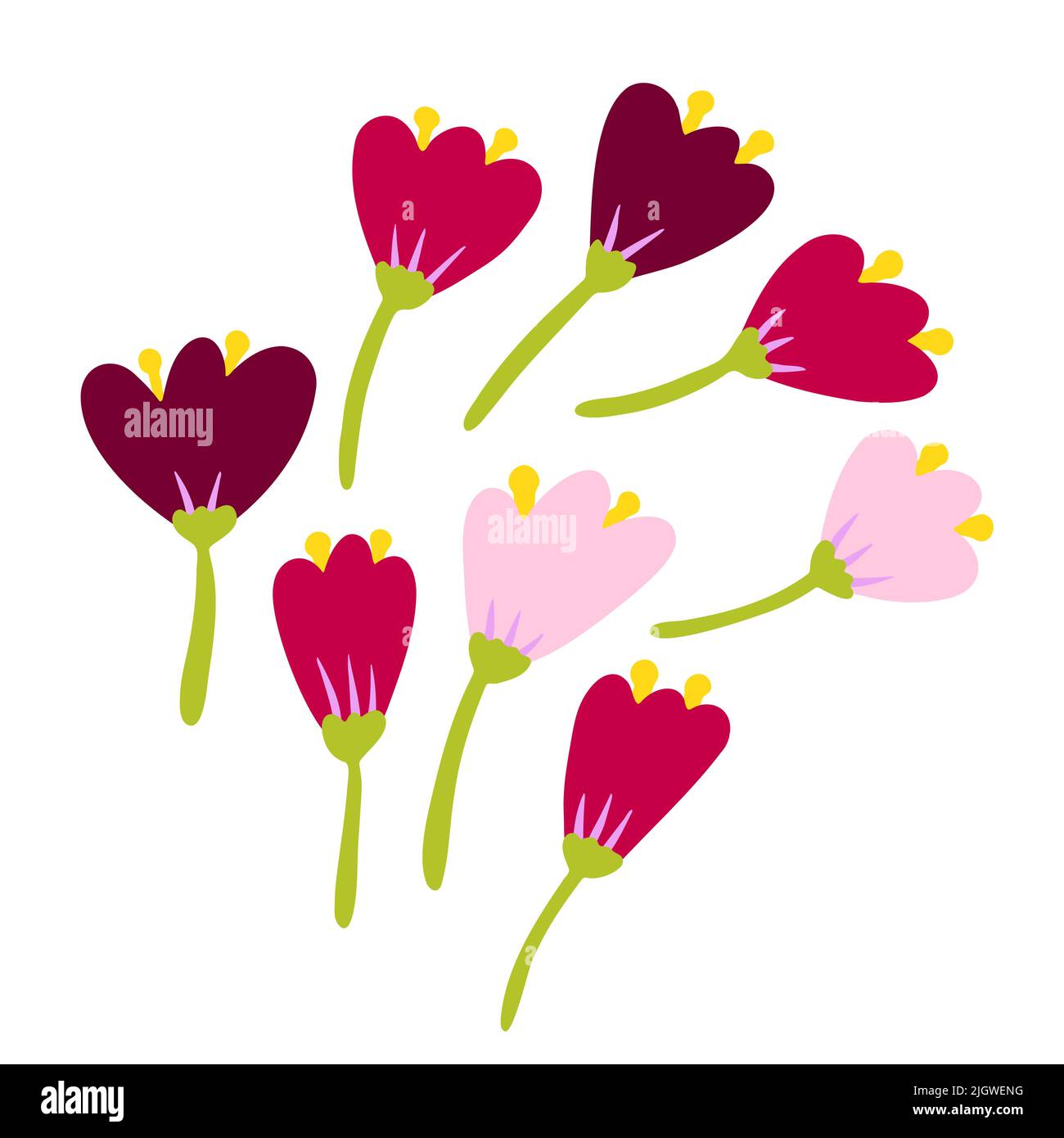 Cartoon astratto fiori set. Colore floret isolato su sfondo bianco. Piante disegnate a mano con petali. Peonie stilizzate, rose, tulipani, gigli. Summe Illustrazione Vettoriale