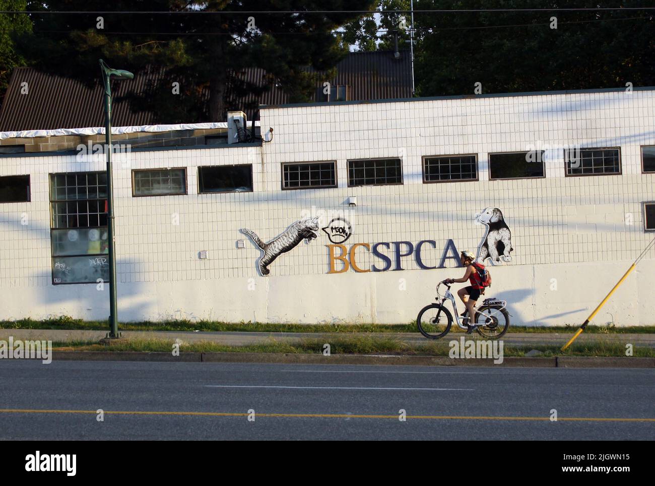 Un uomo in bicicletta passato Veterinary Clinic a Vancouver, British Columbia, Canada Foto Stock