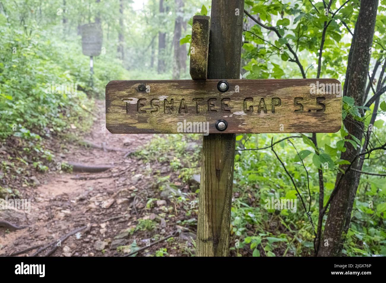 Cartello sentiero verso Tesnatee Gap a Neels Gap sull'Appalachian Trail nella riserva naturale Raven Cliffs Wilderness, nella Georgia nord-orientale, Blue Ridge Mountains. (USA) Foto Stock
