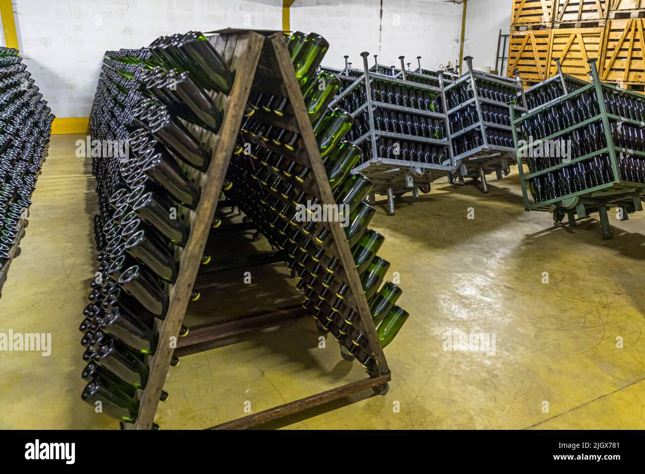 Frédéric Raspail mostra la cantina dove il crémant è prodotto nel modo tradizionale da uve Clairette. Saillans, Drôme, Francia Foto Stock