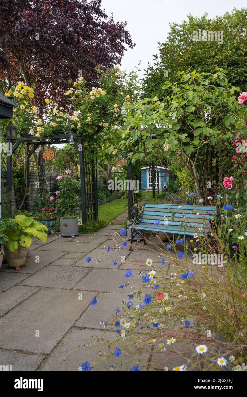 Colorato giardino suburbano posteriore in estate. Inghilterra, Regno Unito Foto Stock