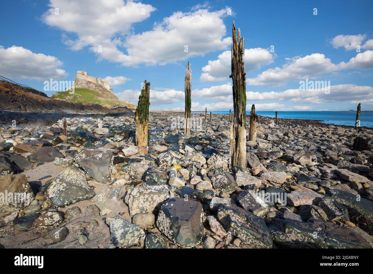 Spiaggia rocciosa sotto il castello di Lindisfarne a bassa marea, Holy Island, Northumberland, Inghilterra, Regno Unito, Europa Foto Stock