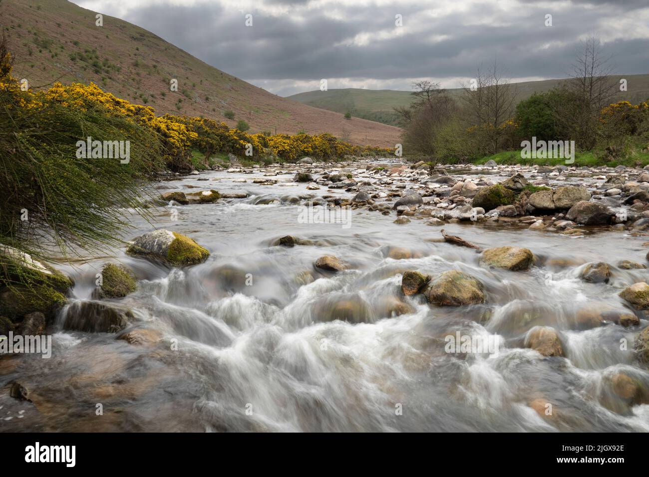 Il fiume Breamish e la Breamish Valley in primavera, Ingram, Cheviot Hills, Northumberland, Inghilterra, Regno Unito, Europa Foto Stock