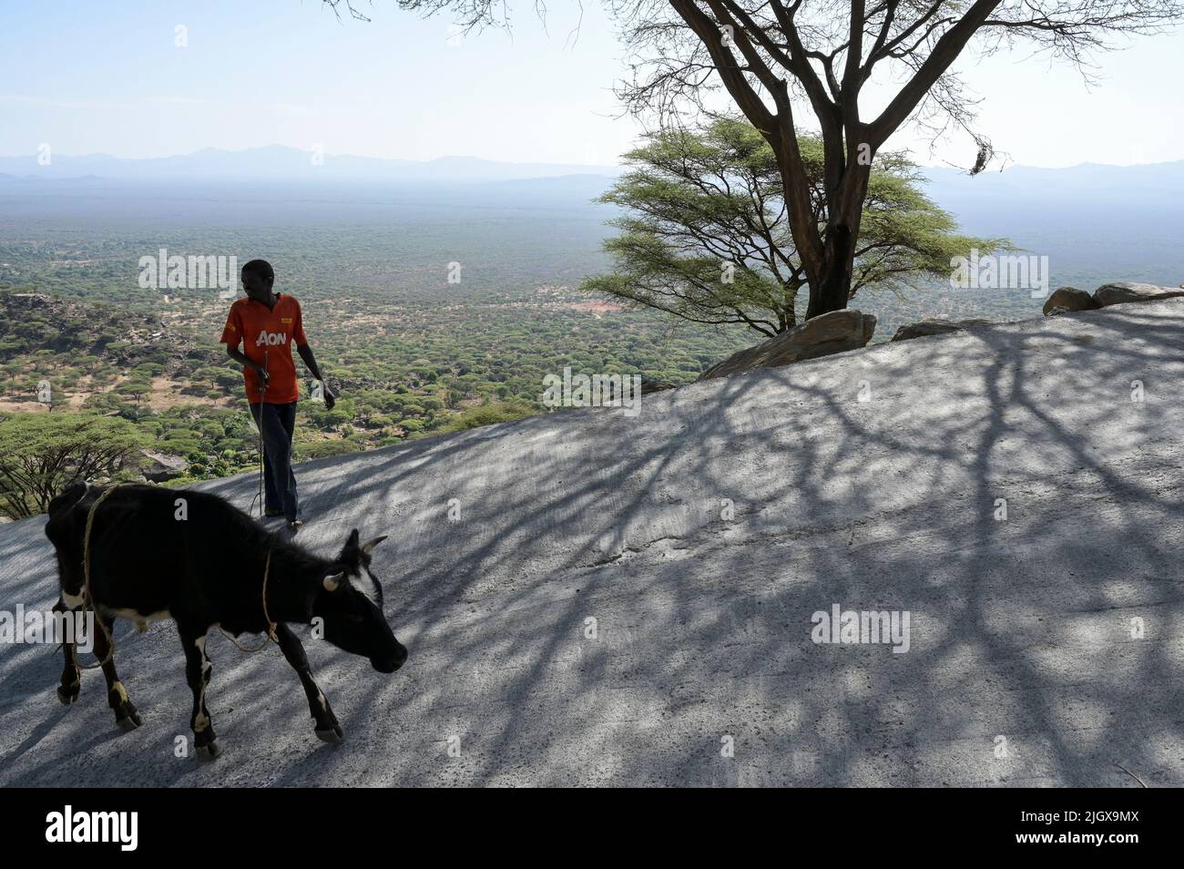 KENYA, Contea di Elgeyo-Marakwet, valle del Kerio, tribù di Marakwet, un sottogruppo del Nilote Kalenjin, sull'altra catena montuosa che vive il Pokot , le due tribù si combattono a vicenda due incursioni di bestiame / KENIA, valle del Kerio, Marakwet Volksgruppe, Blick ins tal, auf der gegenüberliegenden Bergkette siedeln die Pokot, Zwischen den Marakwet und Pokot gibt es kriegerische Auseinandersetzungen wegen Viehdiebstählen Foto Stock