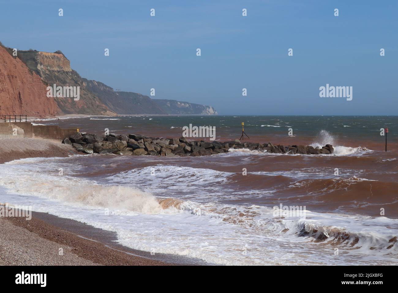 Un gregge di gabbiani vola sulla spiaggia Est a Sidmouth verso il mare. Le scogliere rosse della costa jurassica sono visibili sullo sfondo Foto Stock