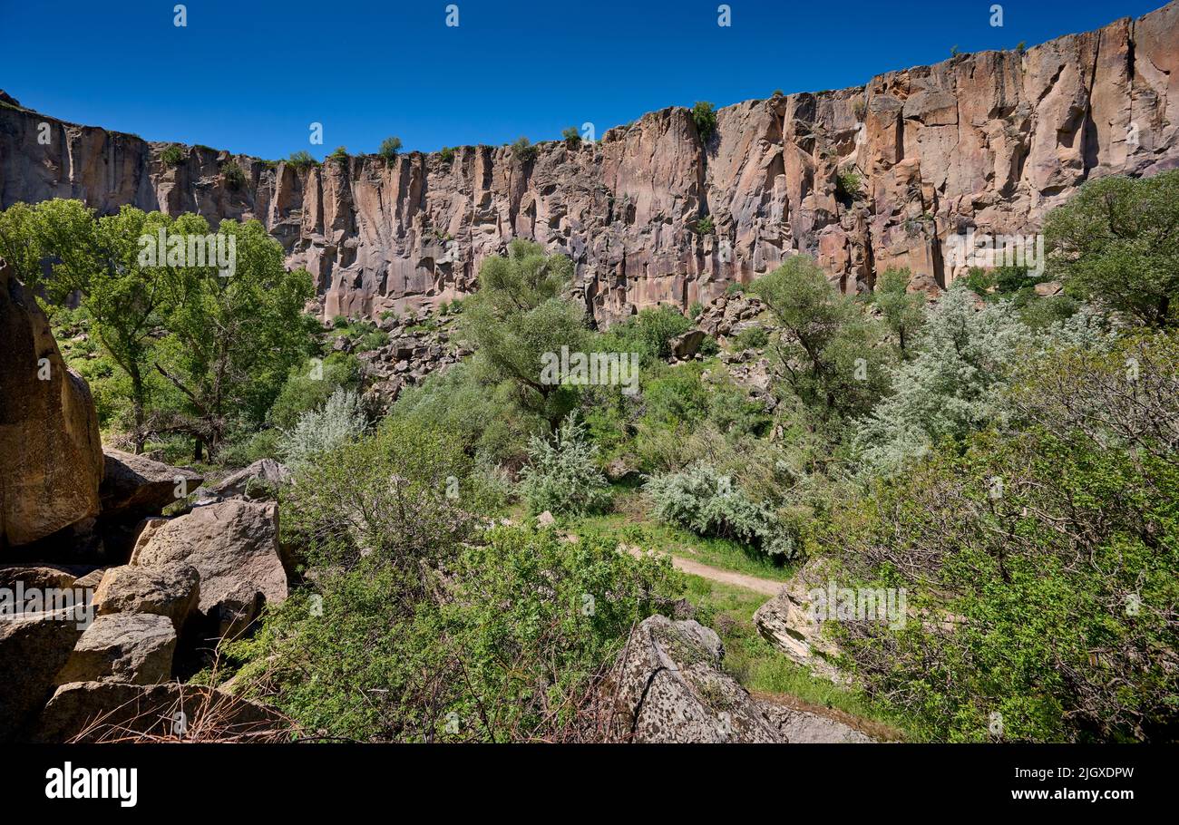 Paesaggio della valle di Ihlara o della valle di Peristrema, Ihlara, provincia di Aksaray, Guzelyurt, Cappadocia, Anatolia, Turchia Foto Stock
