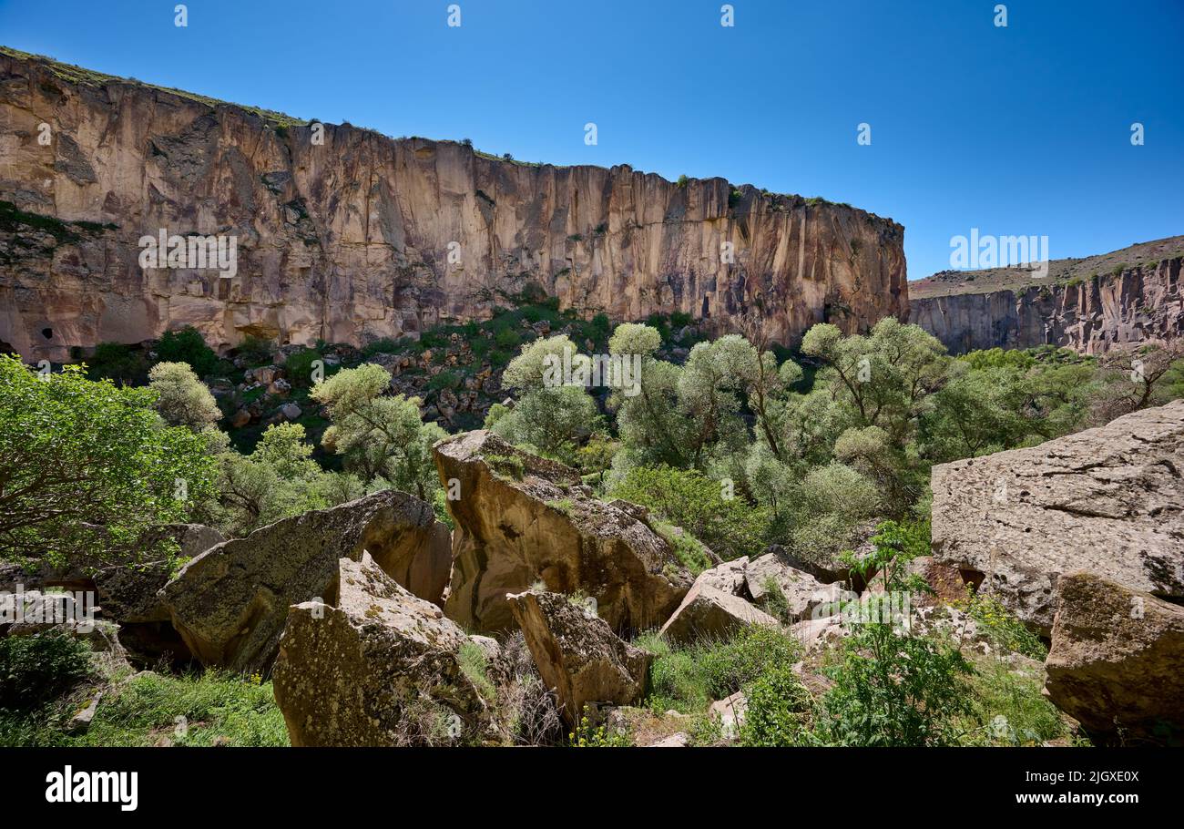 Paesaggio della valle di Ihlara o della valle di Peristrema, Ihlara, provincia di Aksaray, Guzelyurt, Cappadocia, Anatolia, Turchia Foto Stock