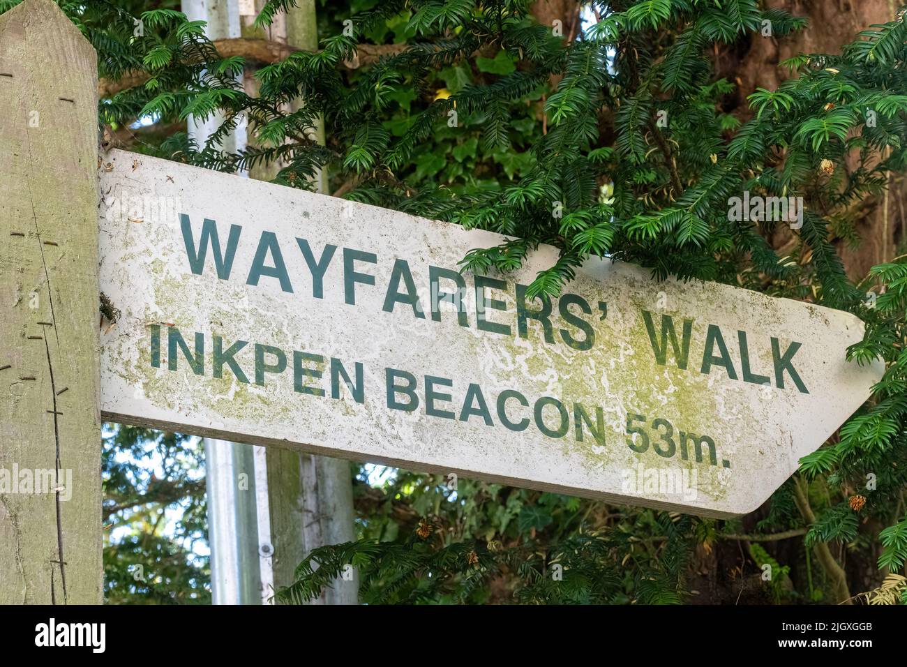 Wayfarers Walk segno in Hampshire, 53 miglia a Inkpen Beacon, Regno Unito. Il Wayfarer's Walk è un sentiero di circa 71 chilometri nell'Inghilterra meridionale Foto Stock