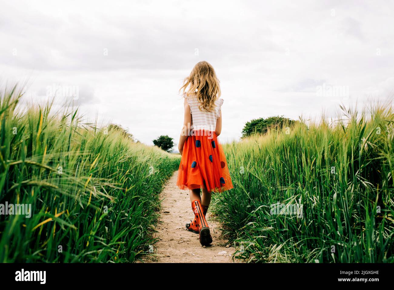 ragazza che cammina attraverso i campi di mais in un abito bug in una nuvolosa giornata estiva Foto Stock