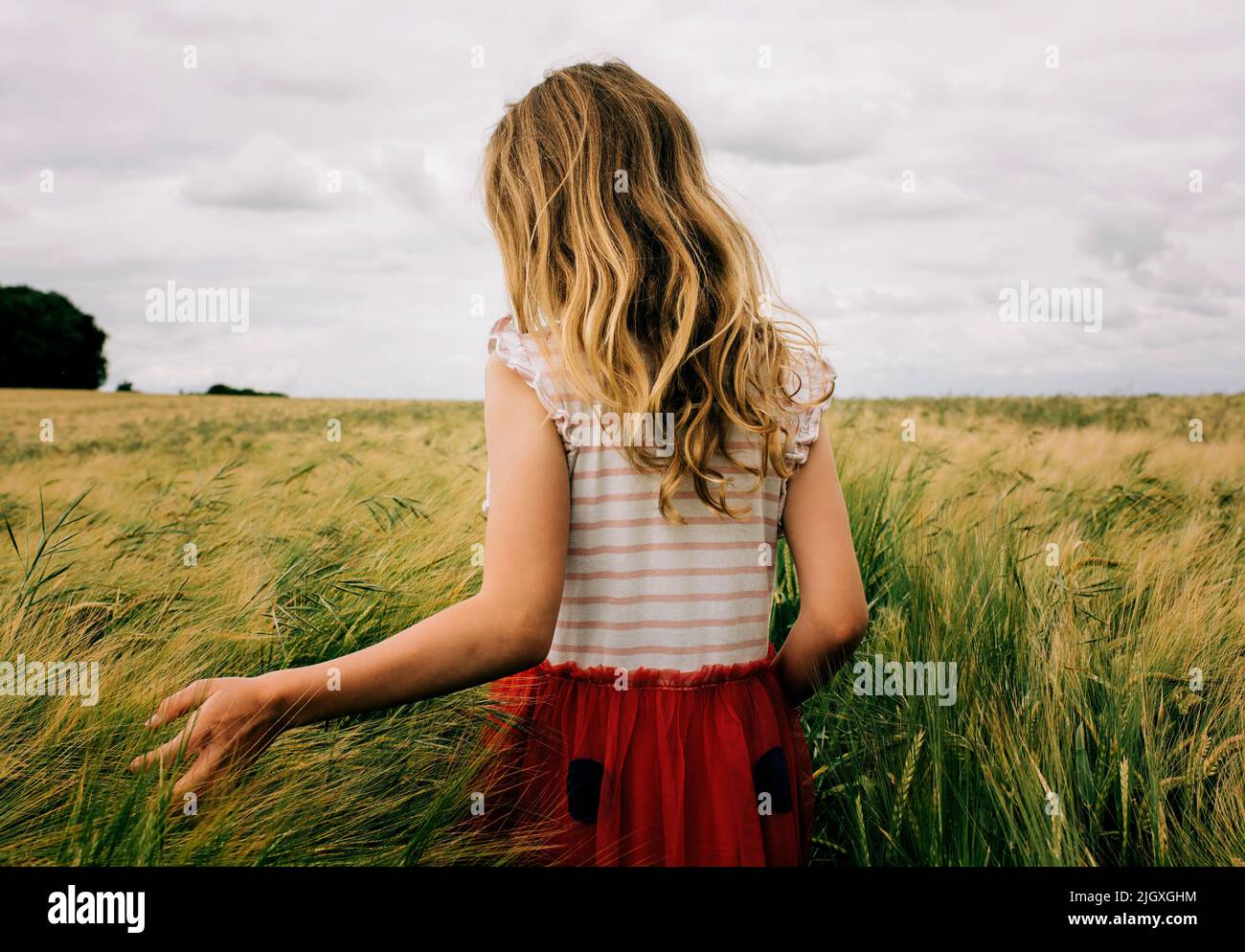 ragazza che cammina attraverso un campo di mais sentendo l'erba in una giornata nuvolosa Foto Stock