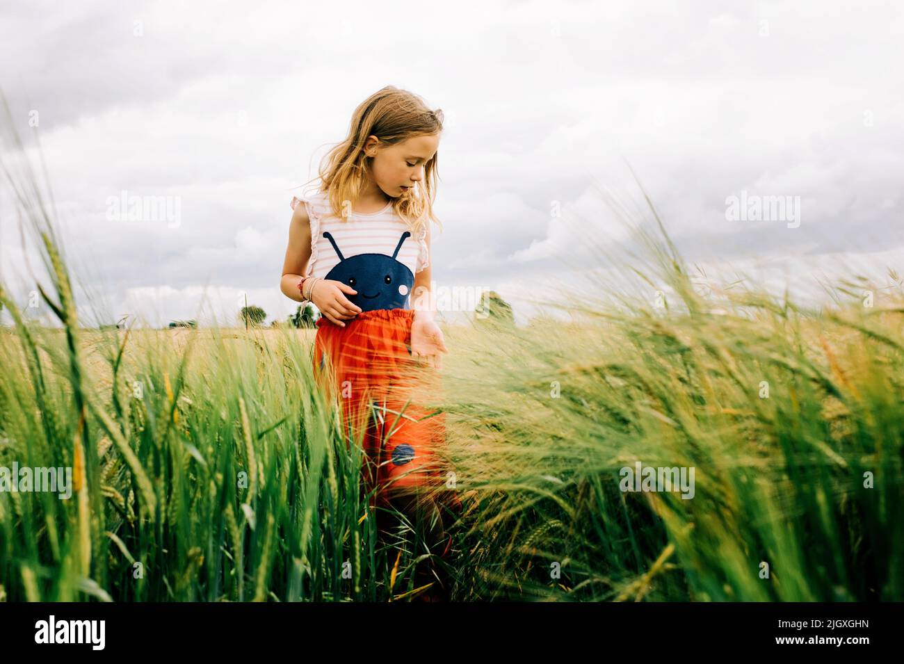 ragazza giovane che cammina attraverso un campo di mais in un abito bug Foto Stock