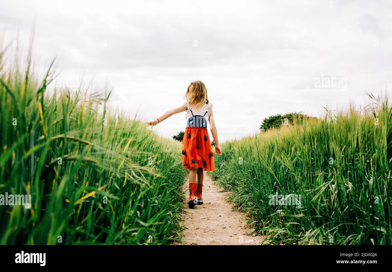 ragazza che cammina attraverso un campo di mais in un abito bug in una ventosa giornata estiva Foto Stock