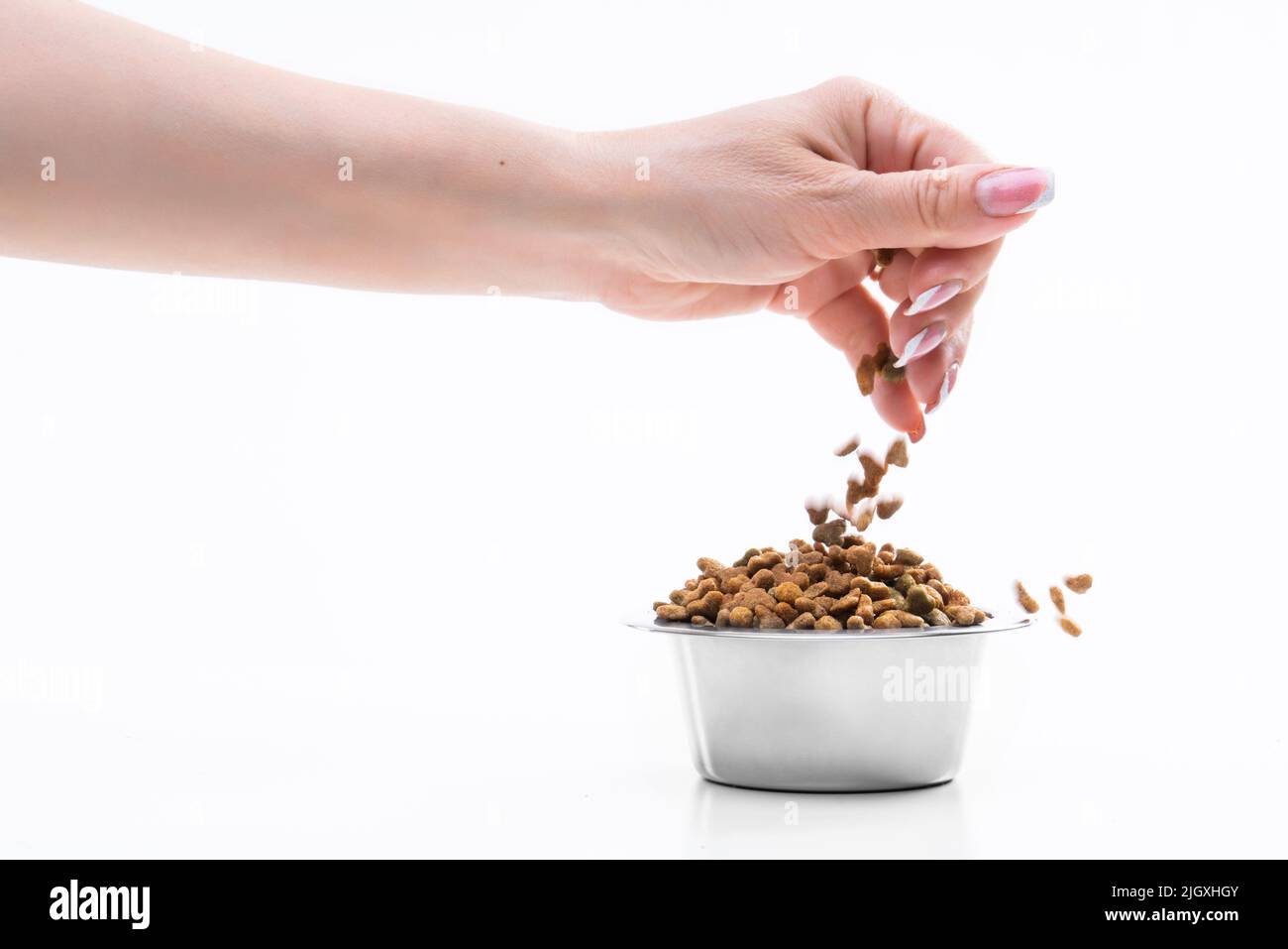 Asciugare il cibo per animali domestici e la mano di una donna, versando il cibo in un piatto. Concetto di alimentazione animale. Foto di alta qualità Foto Stock