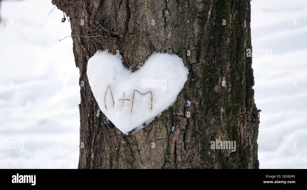 L'albero su cui gli amanti scolpiscono un cuore di neve e le prime lettere dei loro nomi L + M. Foto Stock