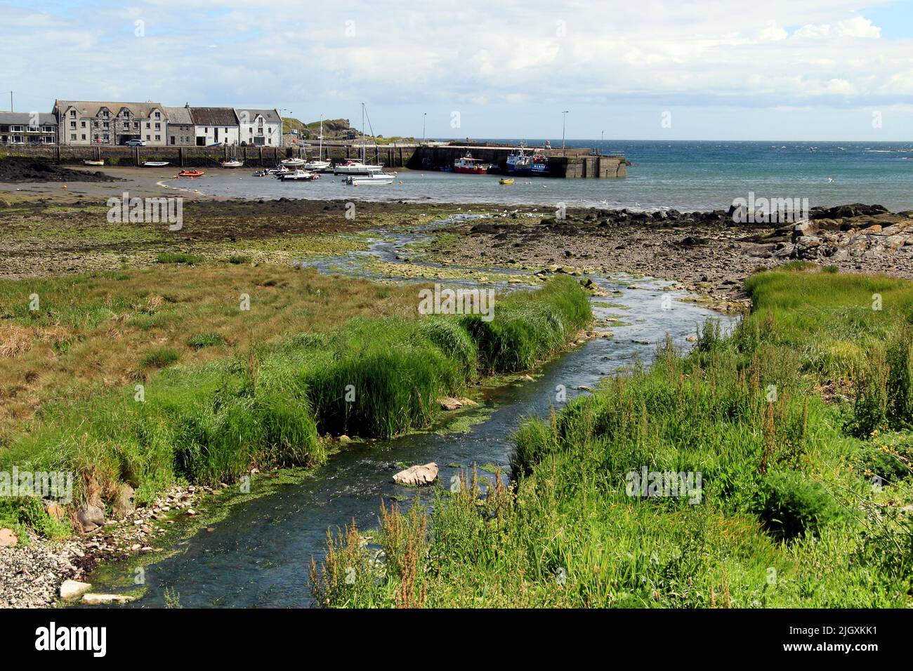 Barche nel porto, Isola di Whithorn, Dumfries & Galloway, Scozia, Regno Unito Foto Stock