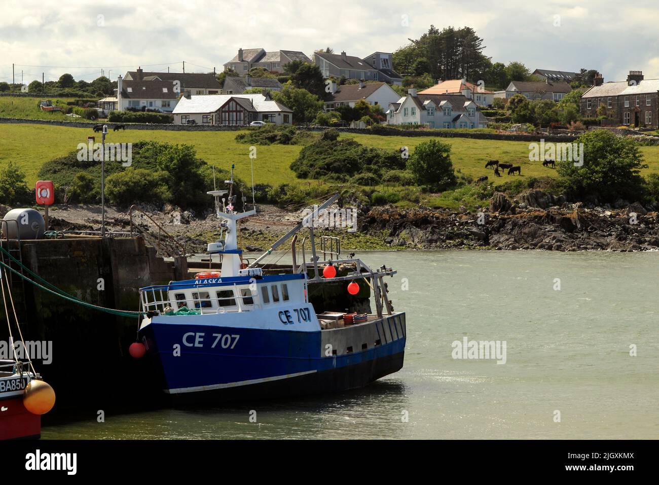 Pesca a strascico, Isola di Whithorn, Dumfries & Galloway, Scozia, Regno Unito Foto Stock