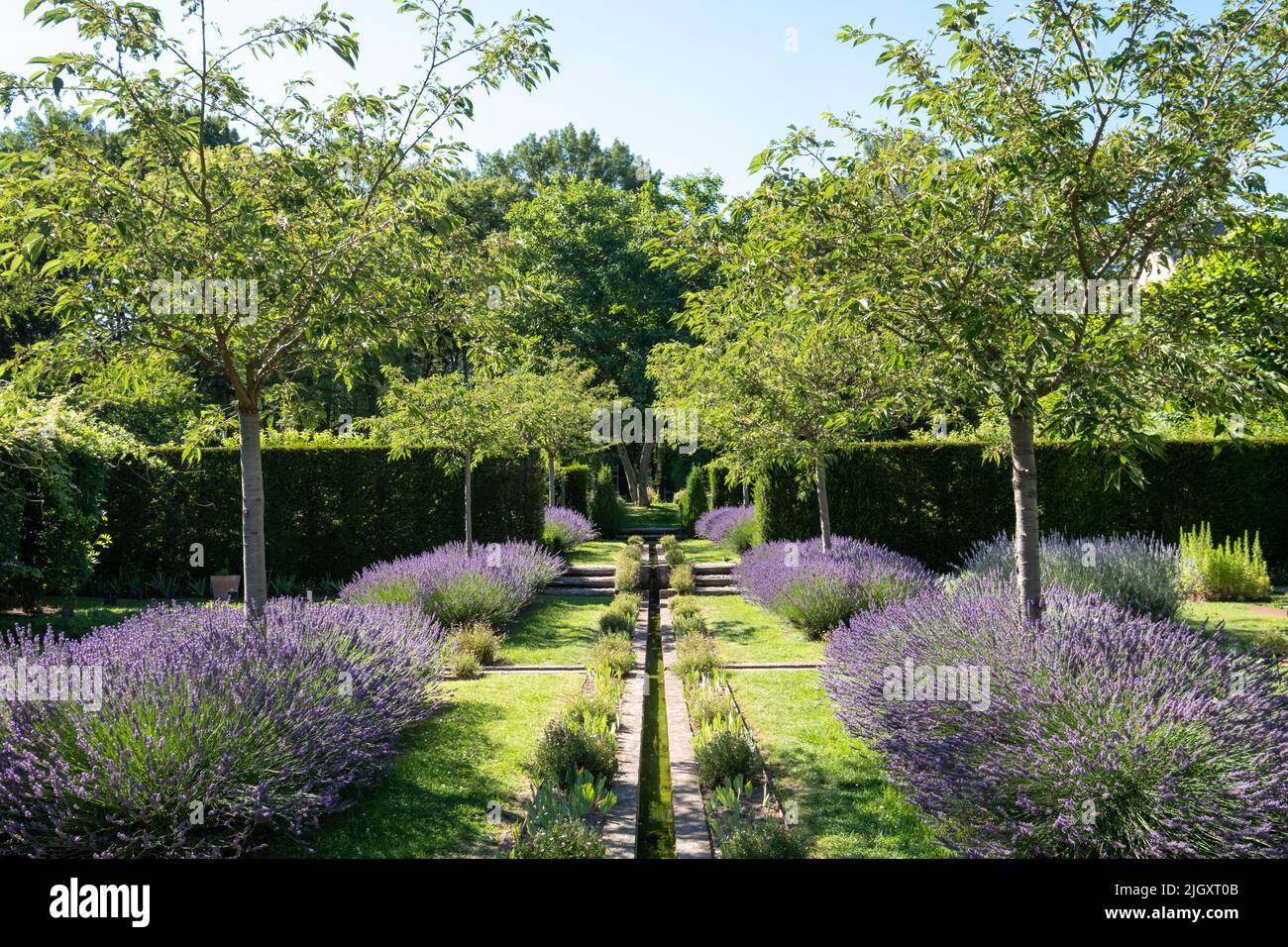 Giardino paesaggistico con lavanda e acqua corrente a Jardin Domaine de Poulaines nella Valle della Loira, Francia. Foto Stock