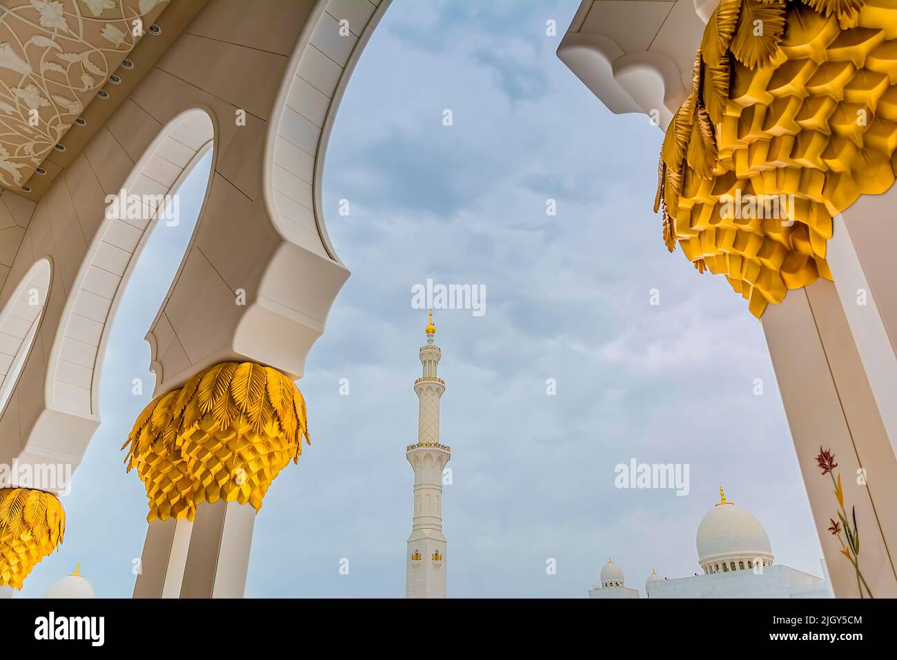 Una foto dettagliata della Grande Moschea dello Sceicco Zayed ad Abu Dhabi, Emirati Arabi Uniti Foto Stock