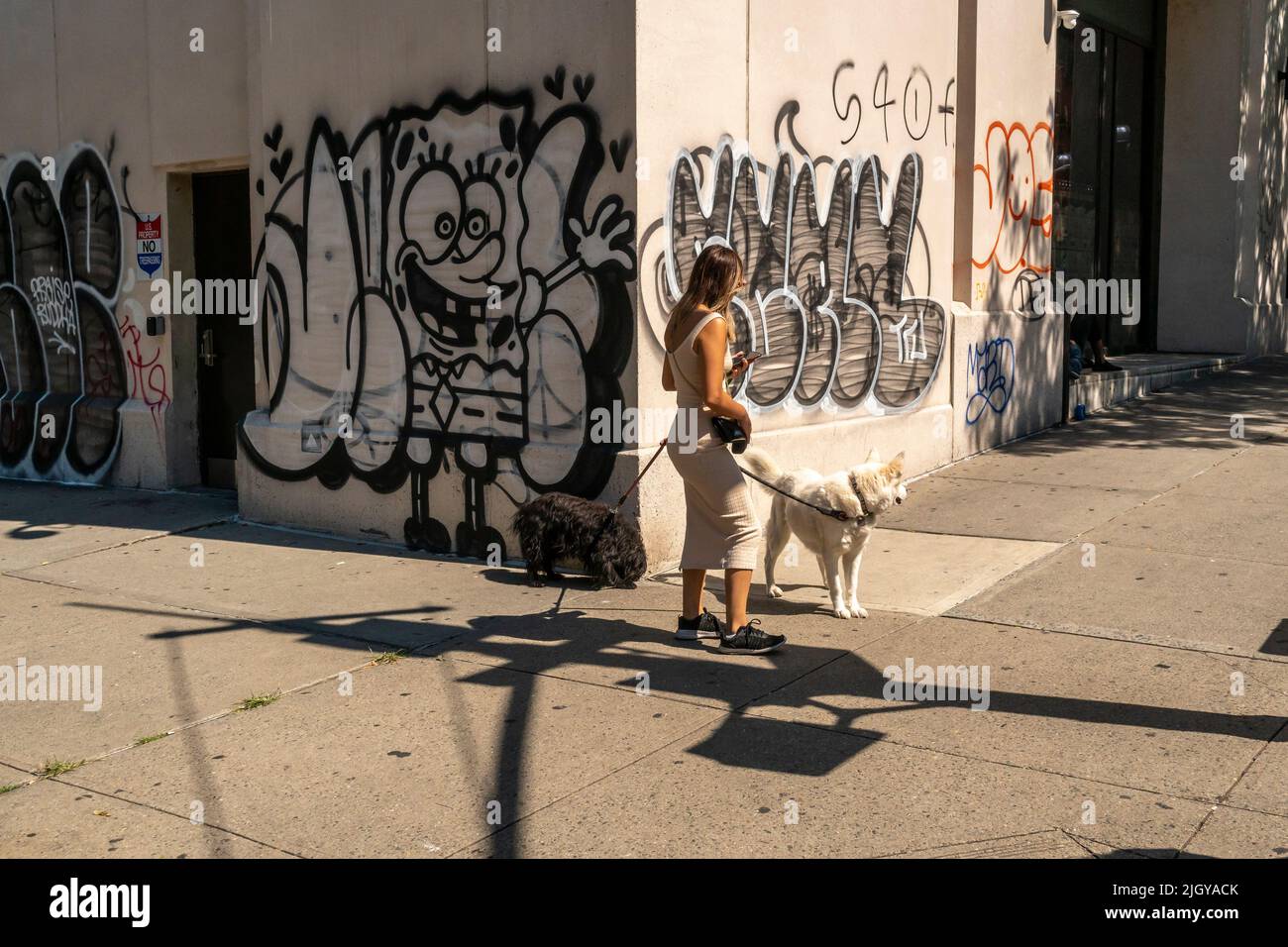 Dog Walker a Chelsea a New York domenica 10 luglio 2022. (© Richard B. Levine) Foto Stock