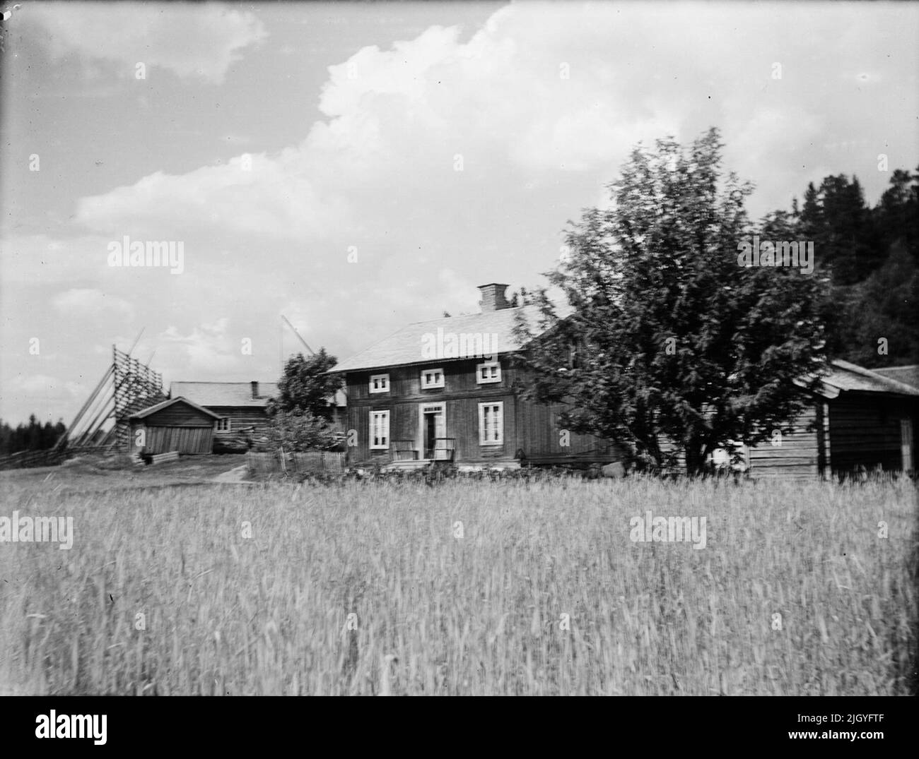 Ambiente agricolo, Medelpad. La collezione di immagini di Josef Ärnström è stata acquisita dal Museo Upplands 2011.Josef Ärnström è nato nel 1887 a Keps, nella parrocchia di Hållnäs, Uppland. Sposò Nora Selldin, nato a Timrå, Medelpad. Sia Josef che sua moglie Nora si sono laureati intorno al 1910 al seminario dell'insegnante a Uppsala. A Medelpad, la coppia ha ricevuto i primi servizi di insegnante alla scuola di Berge come sposi novelli circa 1910-12. La delocalizzazione si trasferì poi a Lapponia dove Josef fu impiegato a Toulleuvaara tra il 1913 e il 18 circa. Joseph ha concluso la sua carriera come insegnante di esercitazione da circa 1920 un Foto Stock
