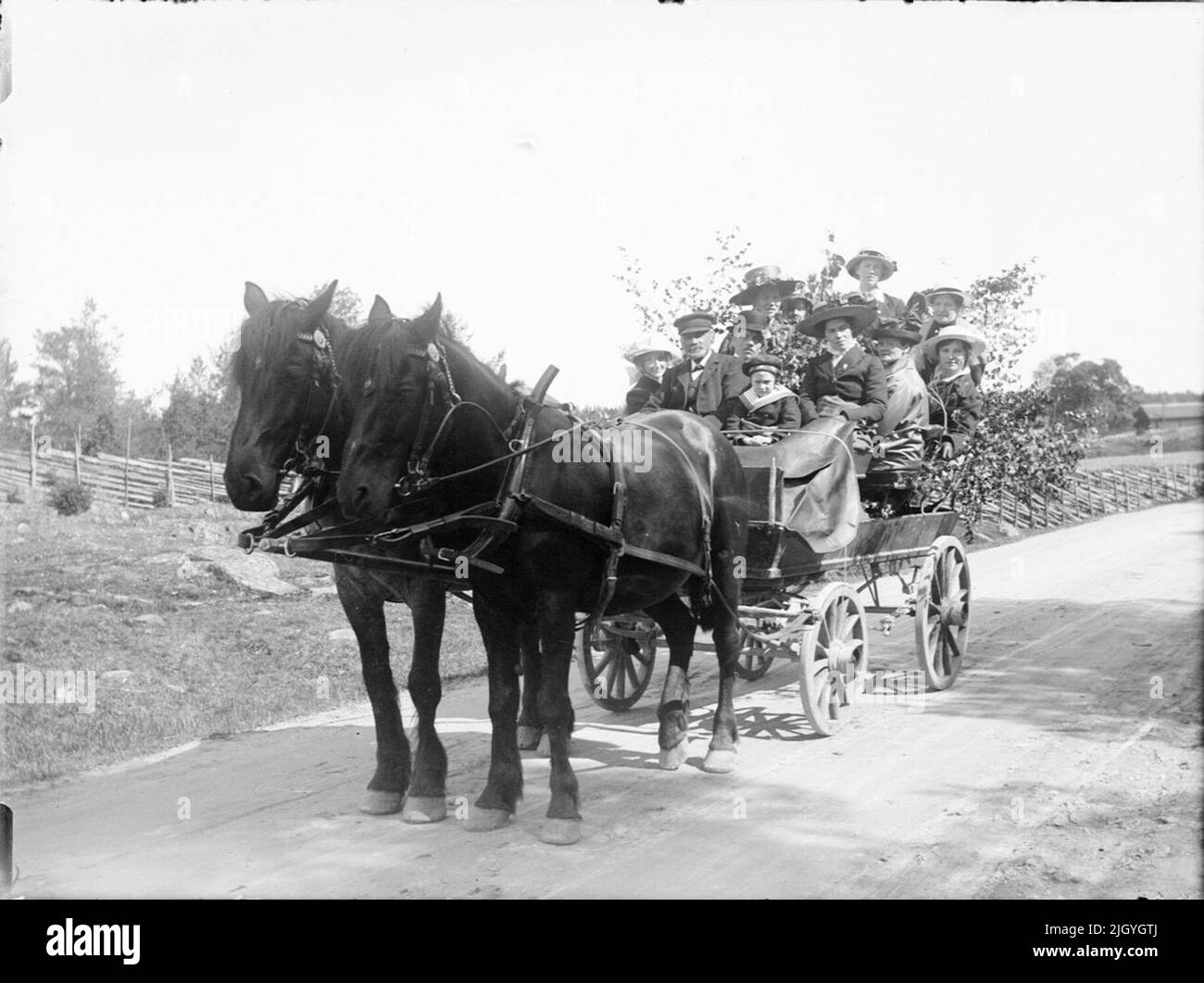A cavallo, Östhammar, Uppland. Leverdeggiante Horseback, Östhammar, Uppland Foto Stock