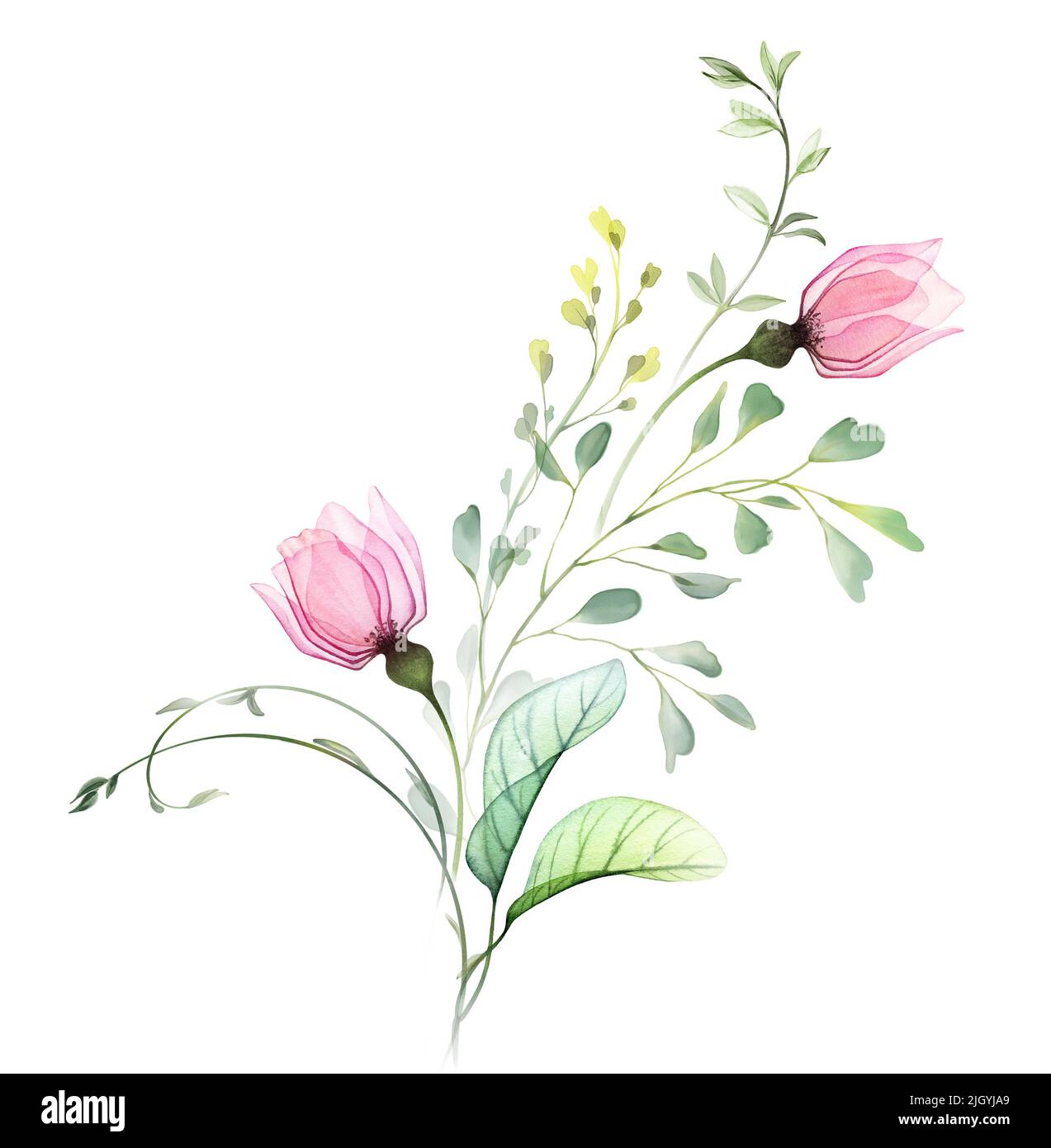 Acquerello disposizione astratta di rose e foglie di eucalipto. Due piccoli fiori con rami volanti. Illustrazione astratta disegnata a mano trasparente Foto Stock