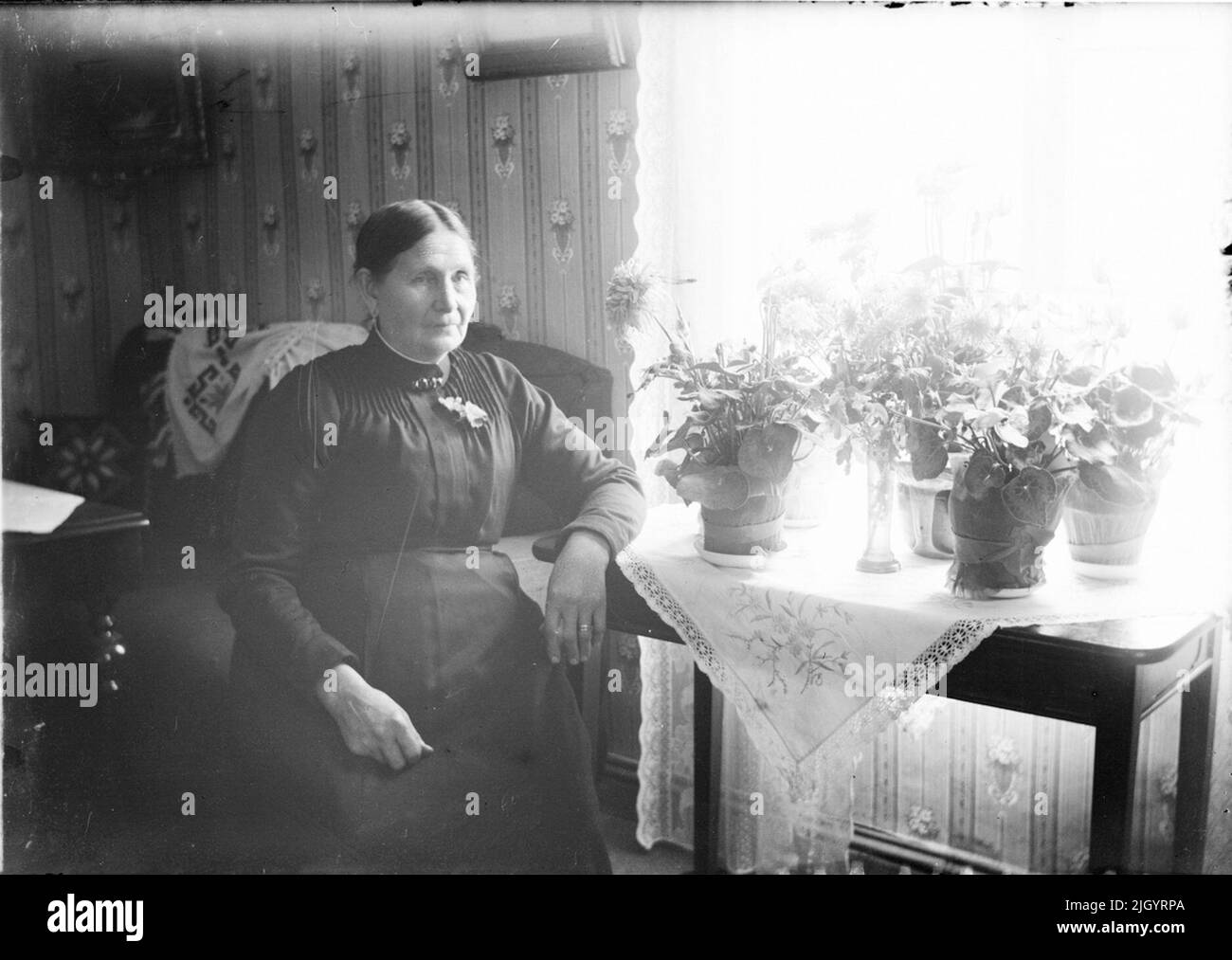 Donna seduta ai tavoli con piante d'appartamento, Östhammar, Uppland. Evento storico, nome legato a Objek: Eriksson, Foto Stock