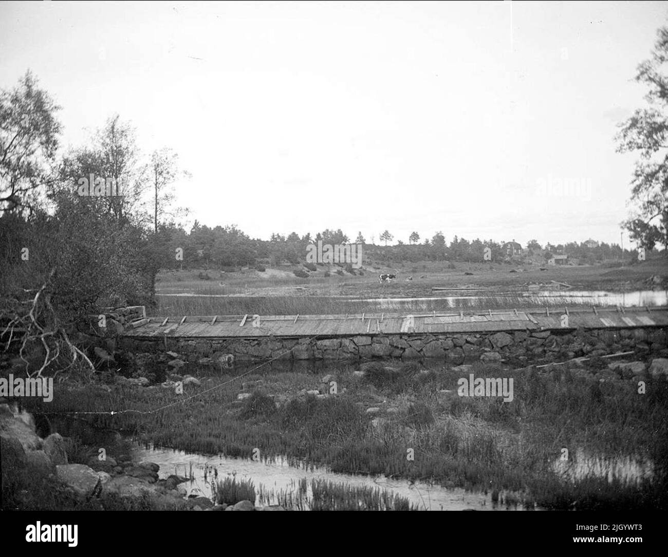 Fyrisån a Ekeby Kvarn, Old Uppsala, settembre 1917. Fyrisån a Ekeby Kvarn, Old Uppsala, settembre 1917 Foto Stock