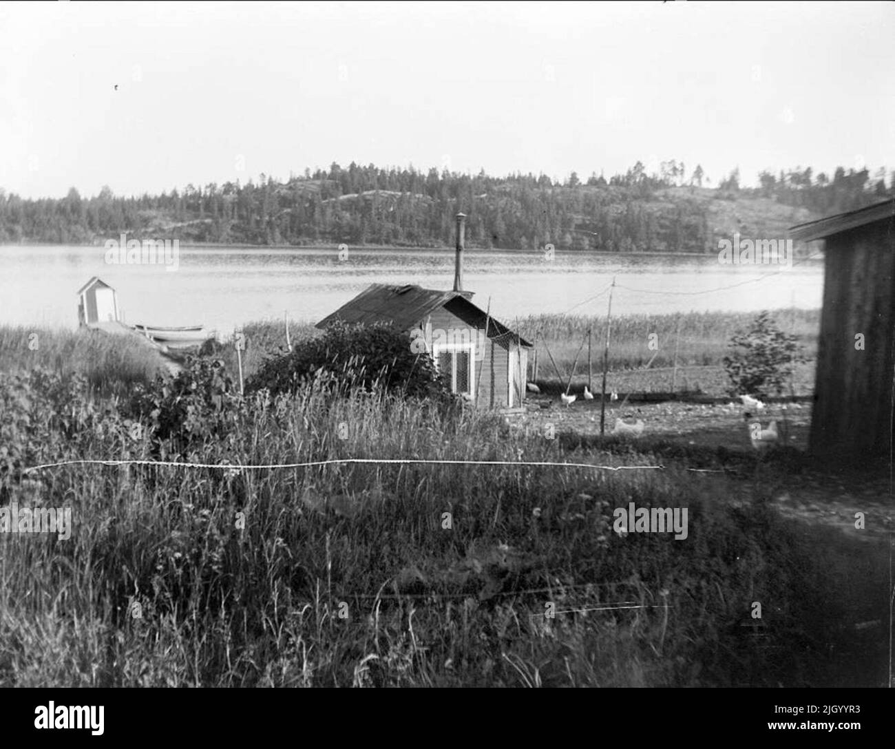 Pollo house a Kvisthamraviken spiaggia, parrocchia di Frötuna, Uppland nel 1927. Chicken House a Kvisthamraviken Beach, Frötuna Parish, Uppland nel 1927 Foto Stock