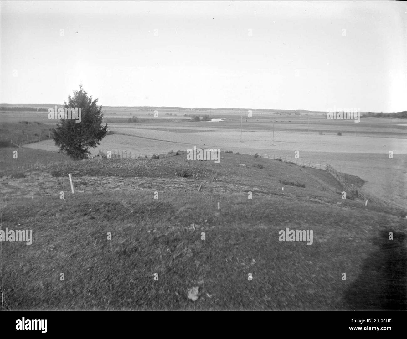 Vista del paesaggio dal terreno di sepoltura di Valsgärde, Uppsala vecchia 1931. Vista del paesaggio dal terreno di sepoltura di Valsgärde, Uppsala vecchia 1931 Foto Stock