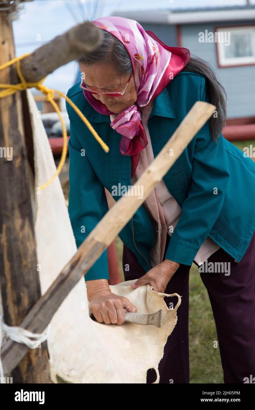 Donna anziana indigena di Dene che prepara una tradizionale moosehide conciata, nella comunità indigena settentrionale di Deline, territori nordoccidentali, Canada Foto Stock