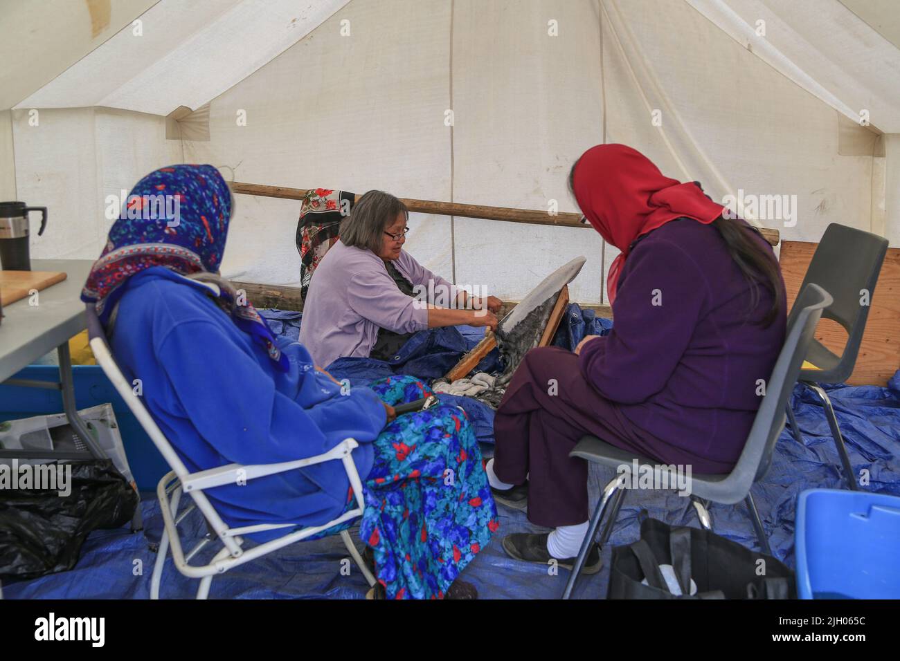 Le donne indigene anziane all'interno della tenda preparano il moosehide, nella comunità indigena del nord di Deline, territori del nord-ovest, Canada Foto Stock