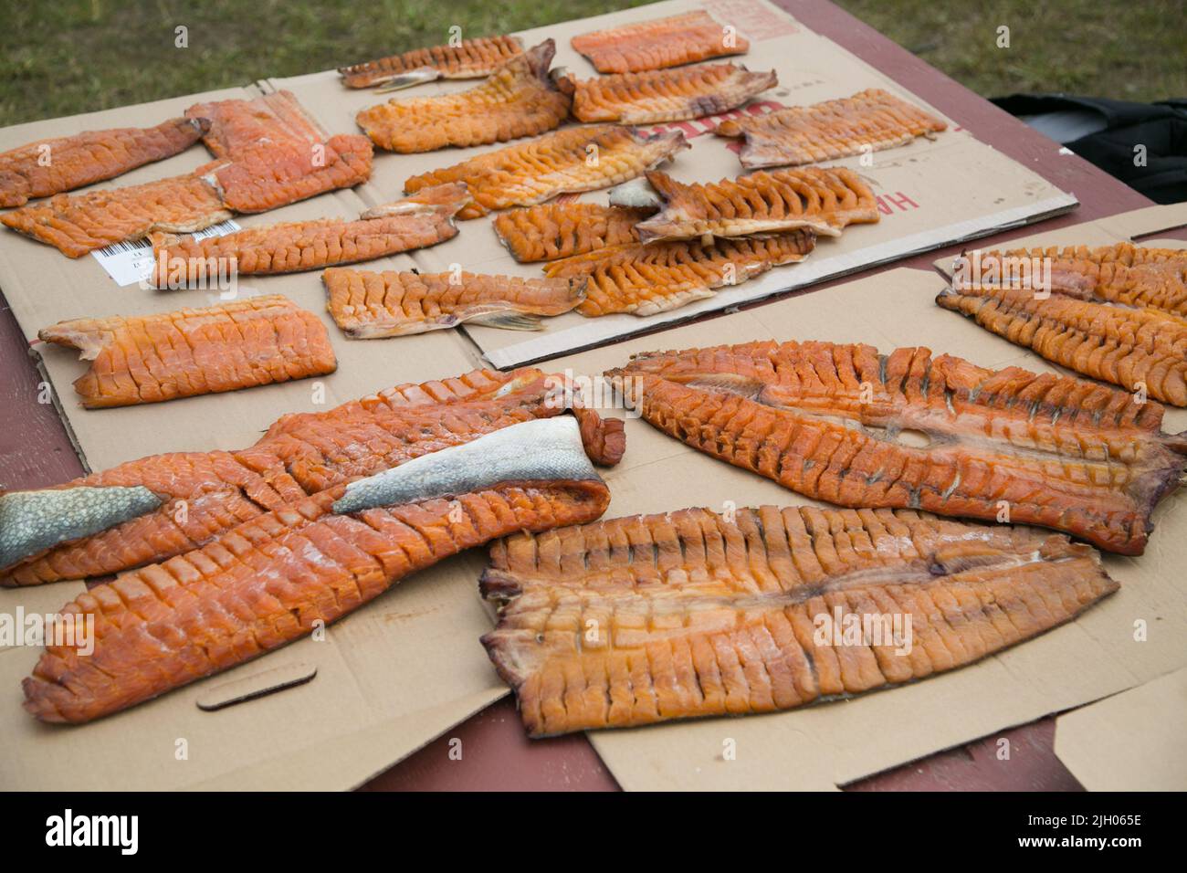 Filetti di pesce (trota del lago) preparati per fumare, nella comunità indigena settentrionale di Deline, territori del nord-ovest, Canada. Foto Stock