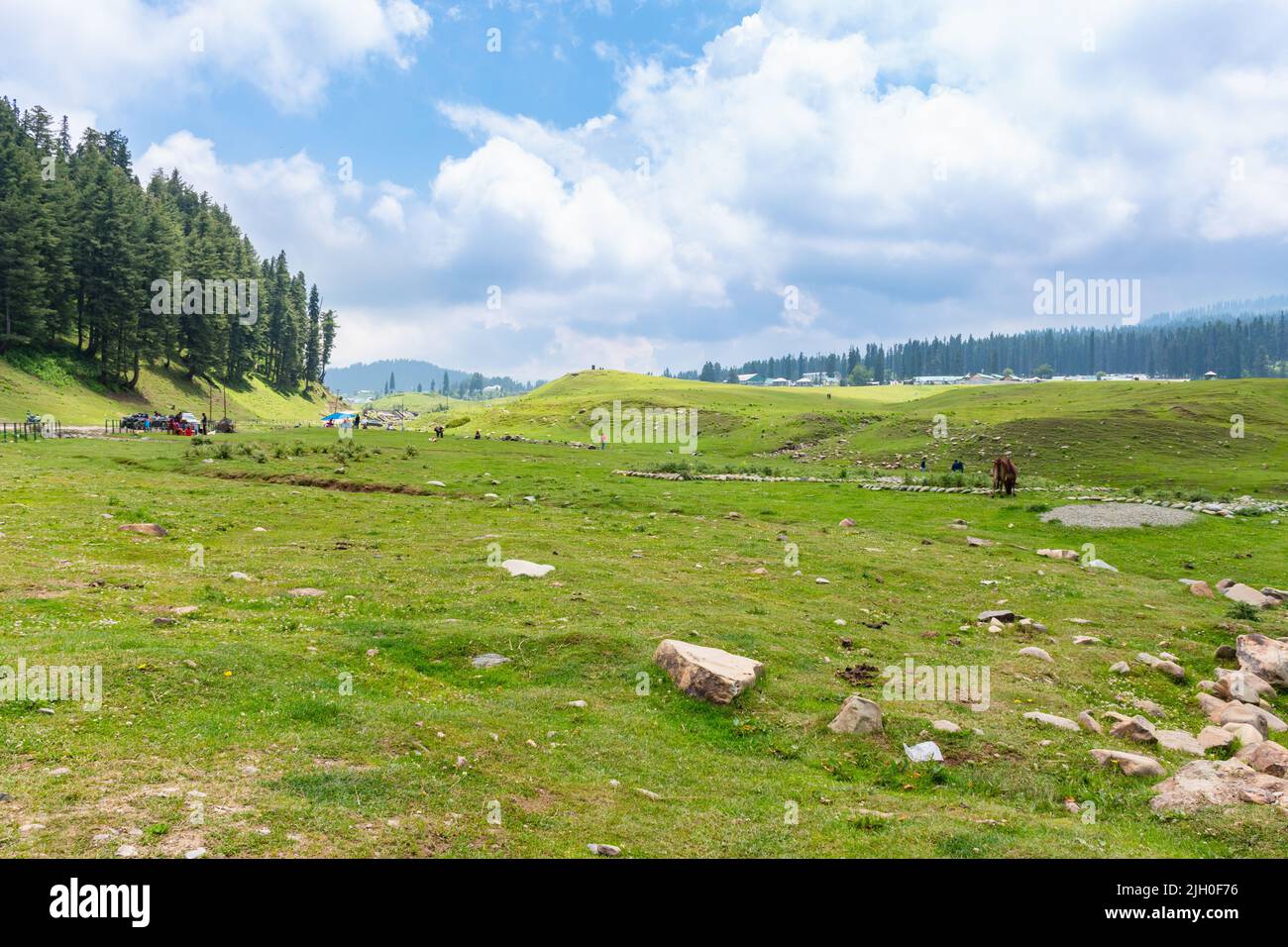 Paesaggio paesaggistico di colline foreste nella bella kashmir. Dal lago, pahalgam, Gulmarg, Baramulla, kupwara aggiungono bellezza al Kashmir. Foto Stock