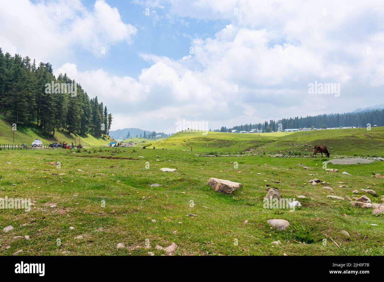 Paesaggio paesaggistico di colline foreste nella bella kashmir. Dal lago, pahalgam, Gulmarg, Baramulla, kupwara aggiungono bellezza al Kashmir. Foto Stock