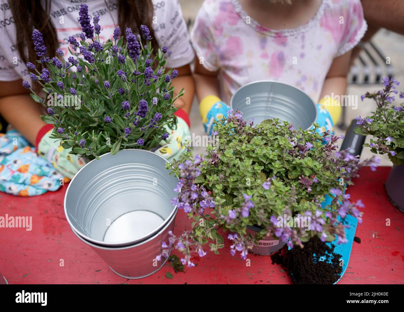 Amburgo, Germania. 13th luglio 2022. Gli alunni della scuola elementare Beim Pachthof piantano piante in vasi di fiori durante l'apertura dei Giardini estivi di Amburgo. Il centro della città anseatica si trasforma in un'oasi verde. Sette quartieri per lo shopping trasformano i lotti vacanti in piccoli giardini. Credit: Marcus Brandt/dpa/Alamy Live News Foto Stock