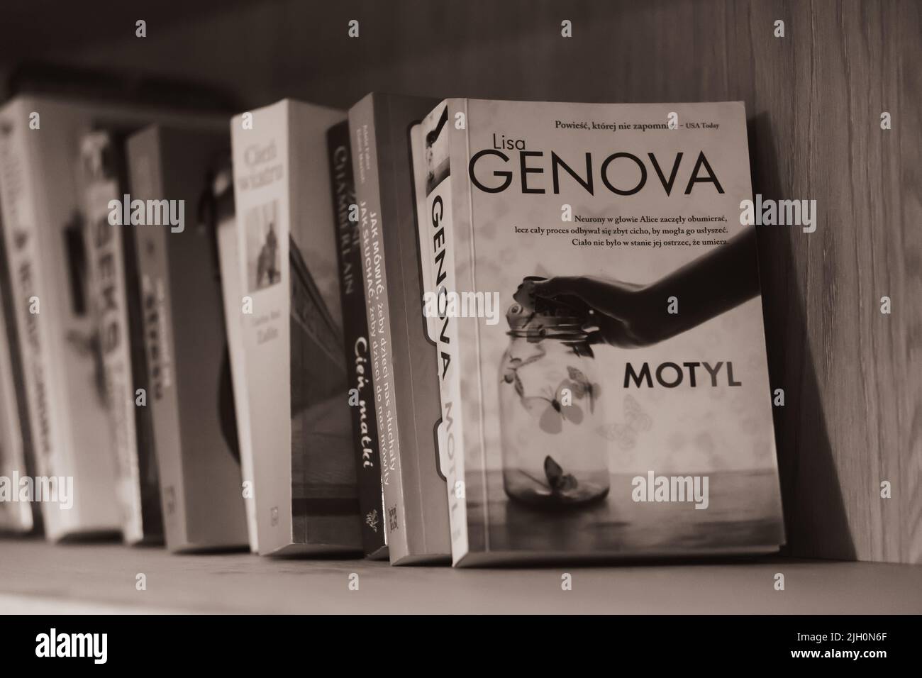 La scala di grigi dei libri in fila con lo storybook polacco Genova Motyl davanti Foto Stock