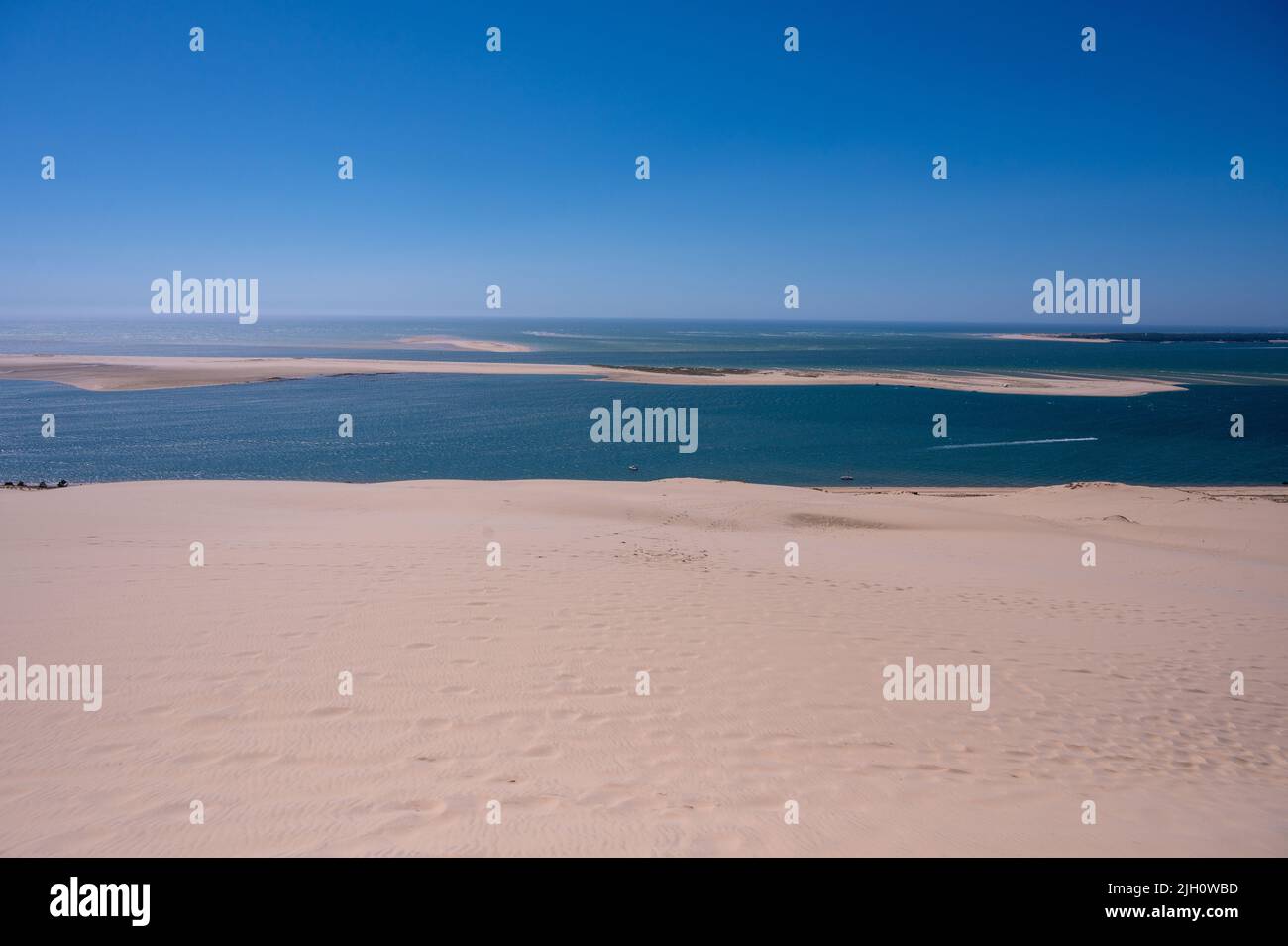 La Duna di Pilat chiamato anche Grande Dune du Pilat, le dune di sabbia più alte d'Europa che si affacciano sulla baia di Arcachon in Francia Foto Stock