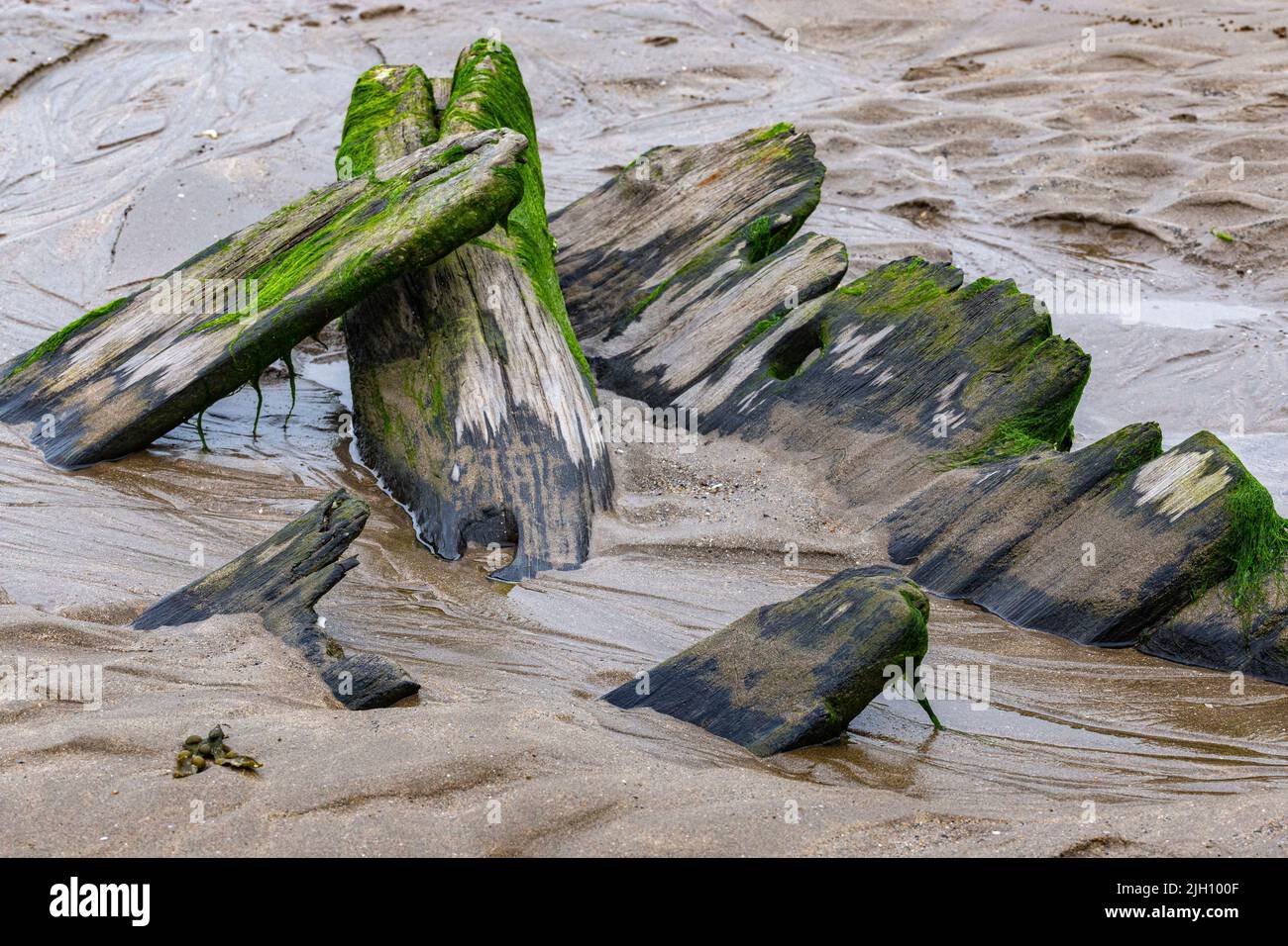 Primo piano dettaglio di Timberi frantumati e marcianti del Sally’, un Brigg Pollata del 18th secolo sepolto da sabbia con Trunnel e grano di legno. Foto Stock
