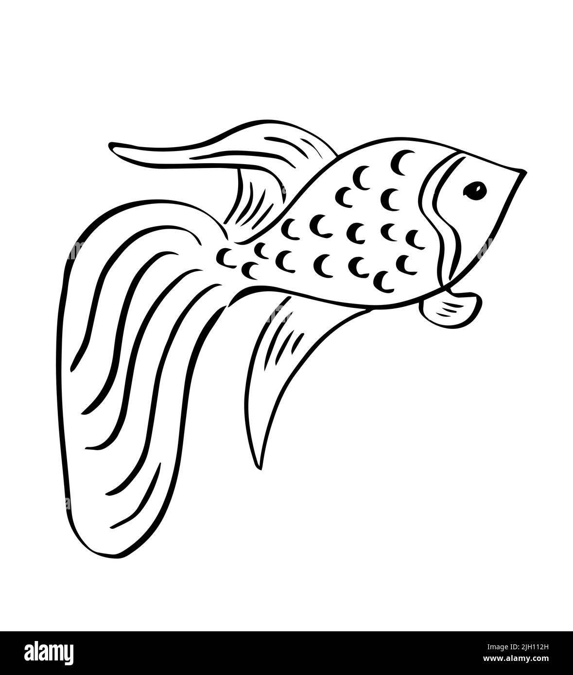 Silhouette di un goldfish. Disegno a mano del pesce d'oro. Illustrazione vettoriale. Illustrazione Vettoriale