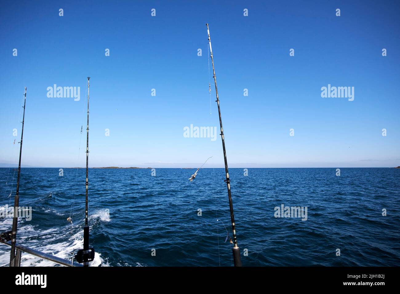 canne da pesca su una barca da pesca charter al largo di portrush costa settentrionale irlanda del regno unito Foto Stock