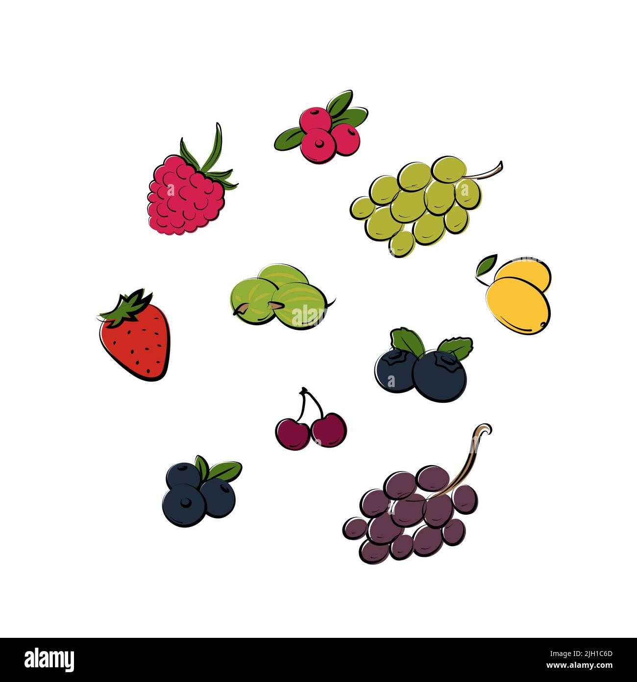 Set di frutti di bosco. Fragola mirtillo uva ciliegia e rasberry elementi Illustrazione Vettoriale