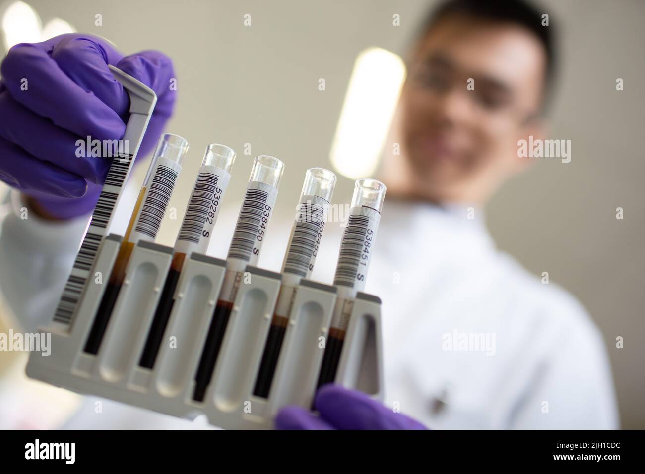 Immagini dall'interno di un laboratorio di personale con provette e capsule di Petri contrassegnate Foto Stock