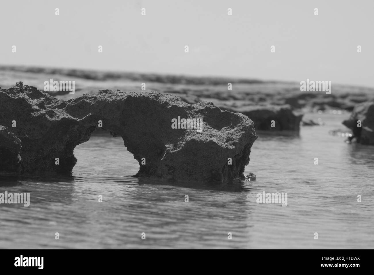 Un primo colpo di rocce nelle acque di un mare in scala di grigi Foto Stock