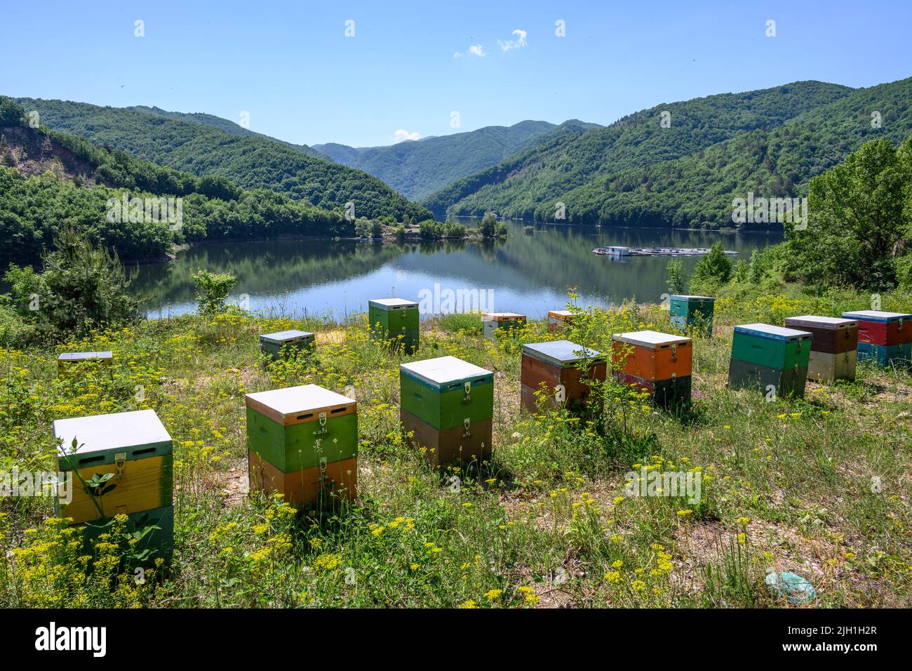 Alveari sulle rive del lago artificiale Thisavrou, sul fiume Nestos vicino al ponte Pappades tra Livadero e Sidironero nel nord Foto Stock