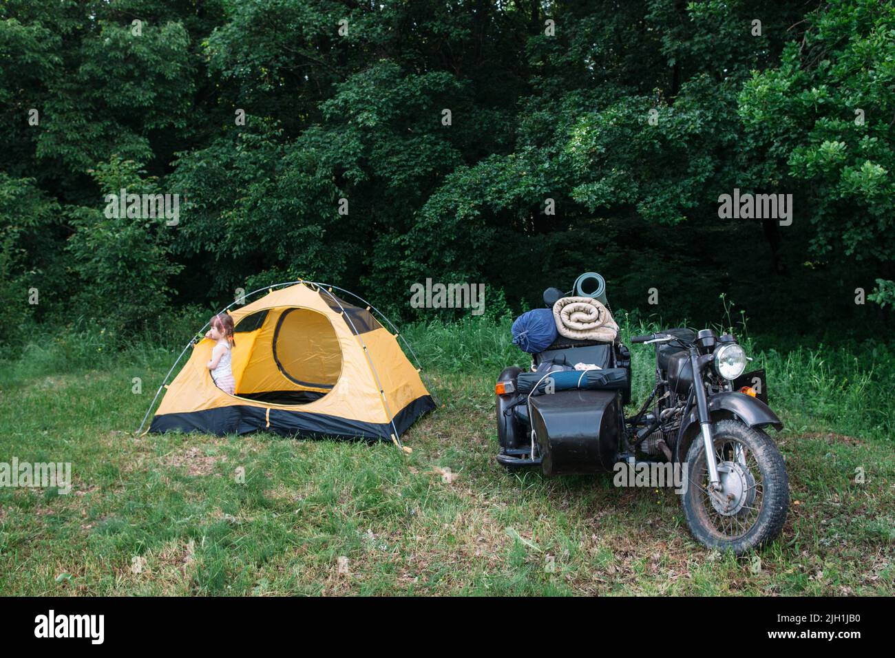 Moto con sidecar parcheggiato su erba verde Foto Stock