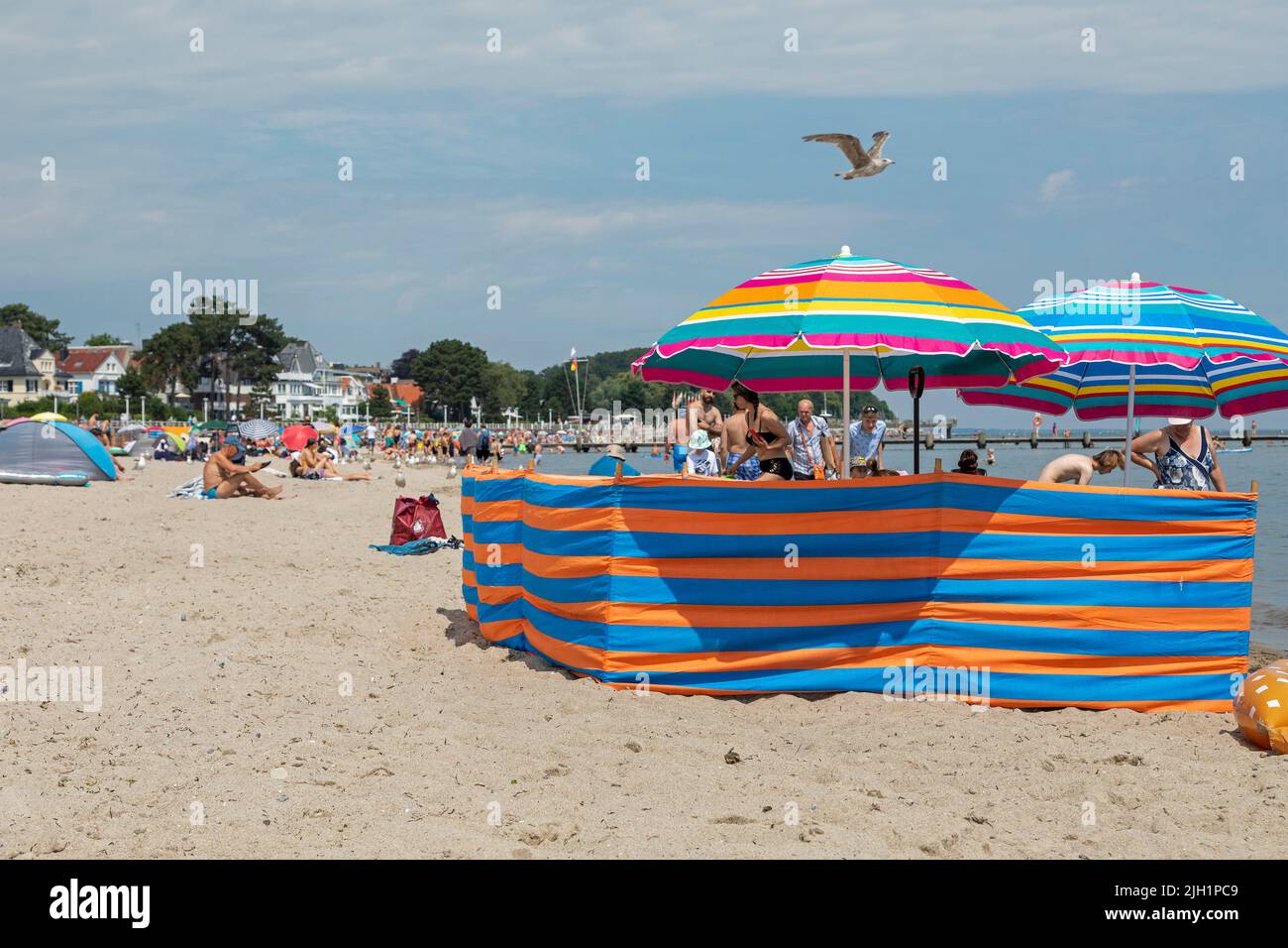 Ombrelloni, protezione del vento, gabbiano volante, Spiaggia, Travemünde, Lübeck, Schleswig-Holstein, Germania Foto Stock