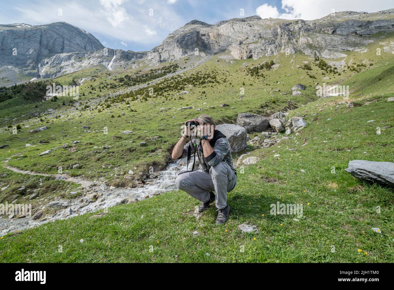 Il fotografo di fauna selvatica Marcos G. Meider scouting la zona delle Alpi alla ricerca di marmotte alpine. Brigels, Regione di Surselva, Cantone di Graubünden, Foto Stock
