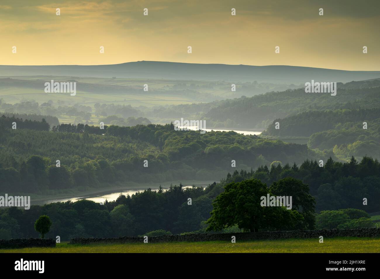 Vista panoramica a lunga distanza della sera pastorale estiva (colline boscose, piantagione di foreste, colline ondulate, cielo colorato) - Washburn Valley, Inghilterra Regno Unito. Foto Stock